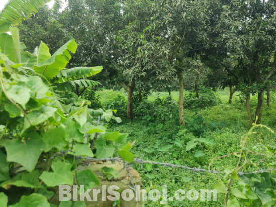 ভাকুর্তায় জমি বিক্রয়